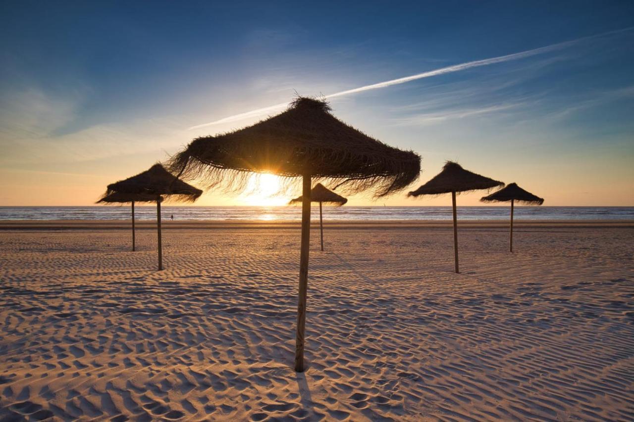 Huis Zeeduin Amsterdam Beach Zandvoort Zewnętrze zdjęcie